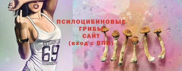 MDMA Premium VHQ Богородицк